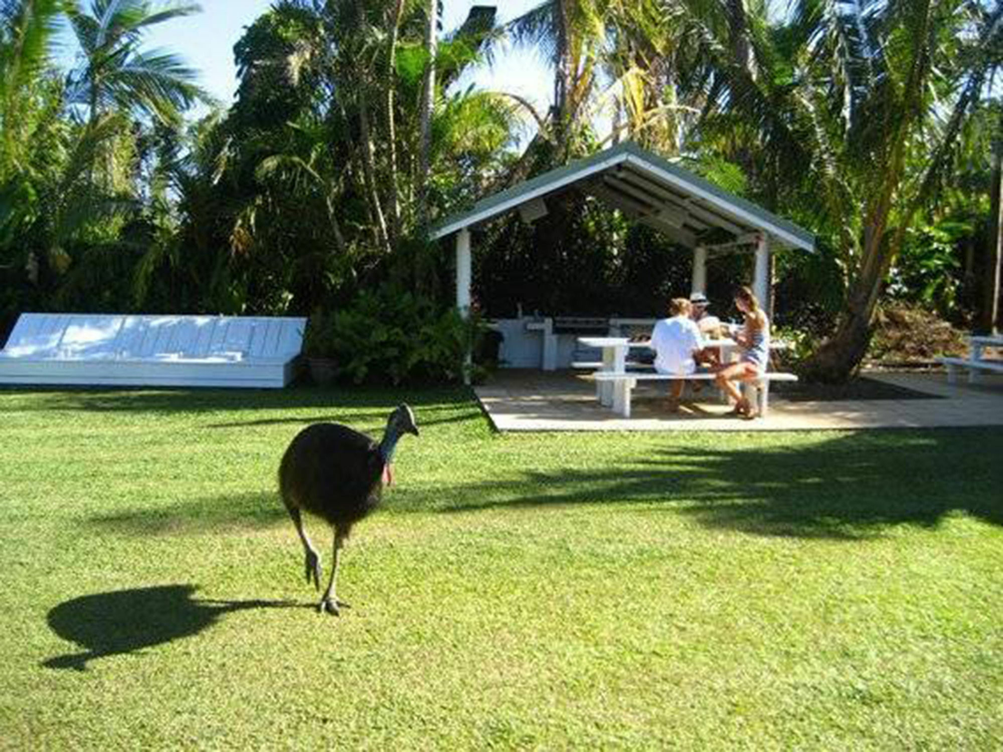 Absolute Backpackers Mission Beach Extérieur photo
